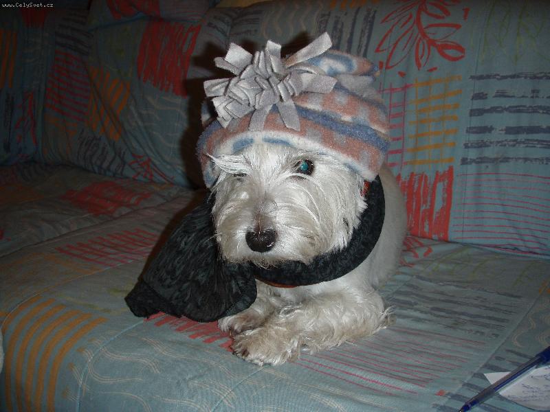 Foto: zima bude tuh�...