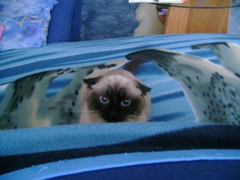 Foto: Jsem ale hodn� na�tvan�!!!