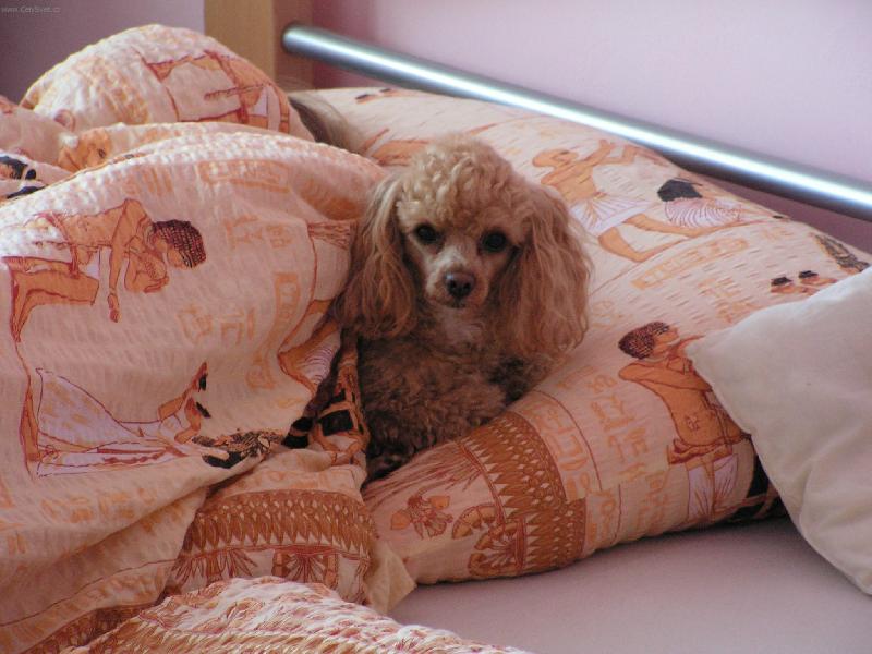 Foto: Neru�,je�t� sp�me.