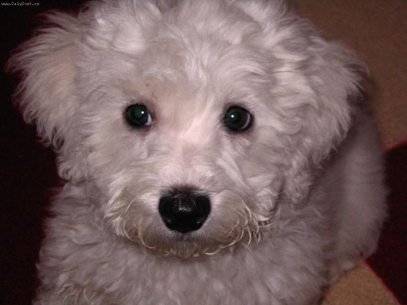 Foto: Ahoj...-Nemohu se vynad�vat jak jste v�ichni kr�sn�.....