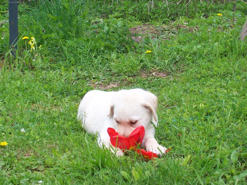 Foto: kyti�ka-von�?? nevon�??