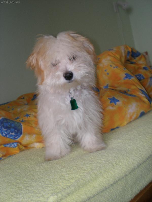 Foto: Laura 5 m�s�c�