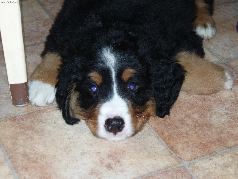 Foto: Na�e nov� �t���te�ko-Fabio poprv� doma...