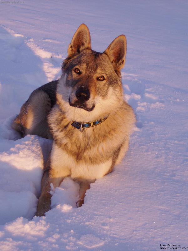 Foto: Baron z Hvozdeck� kotliny