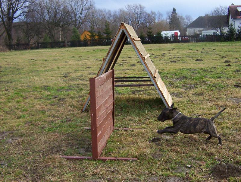 Foto: Bul�k-jdu na to...........