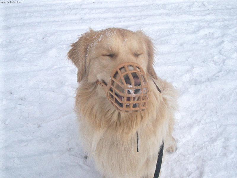 Foto: Arki-�sm�v s�m