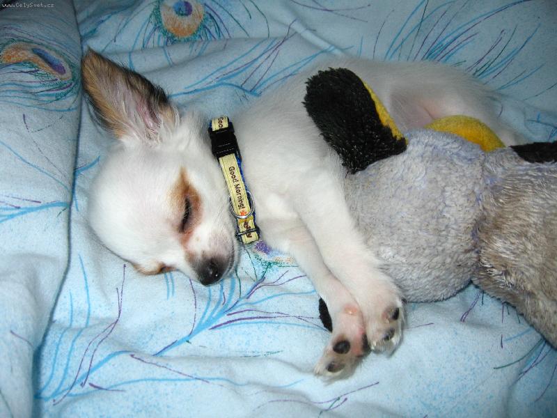 Foto: Mat�sek-Tak dobrou:-)