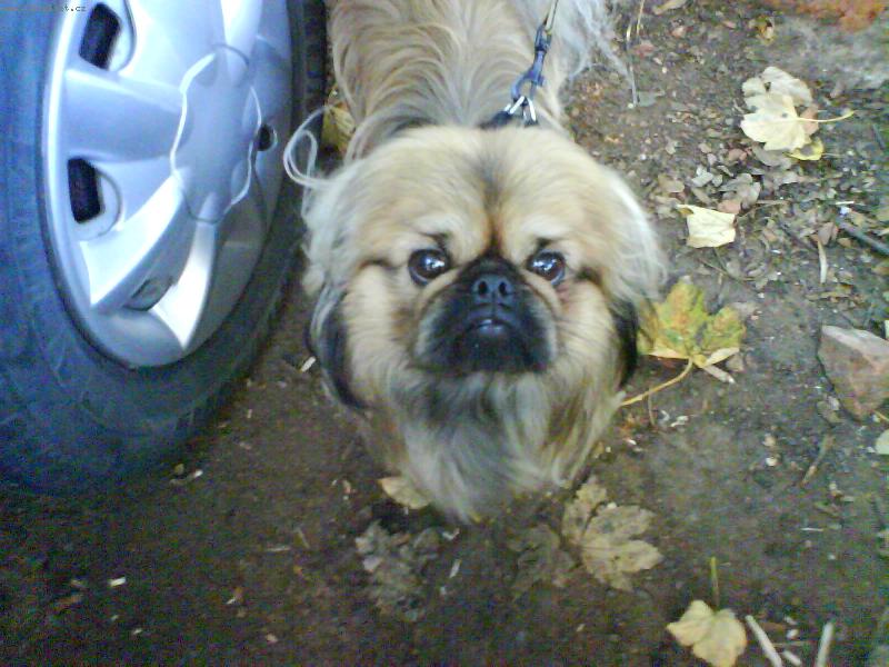 Foto: N� mi��nek