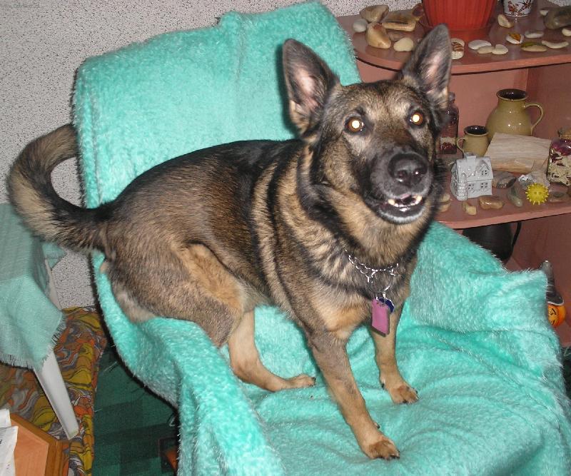 Foto: v pohod�-to je moje k�eslo