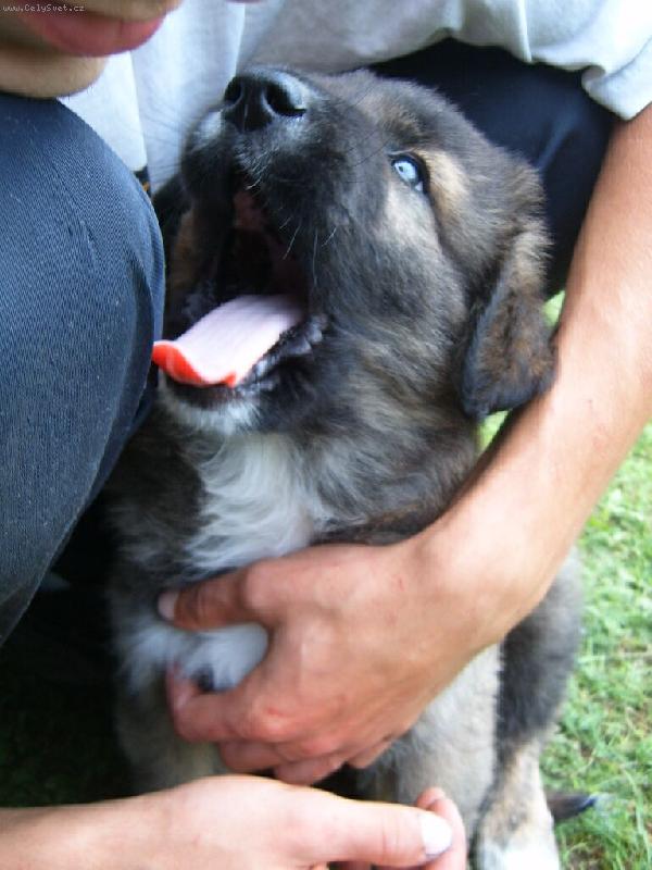 Foto: Nero-V�ecky v�s spap�m