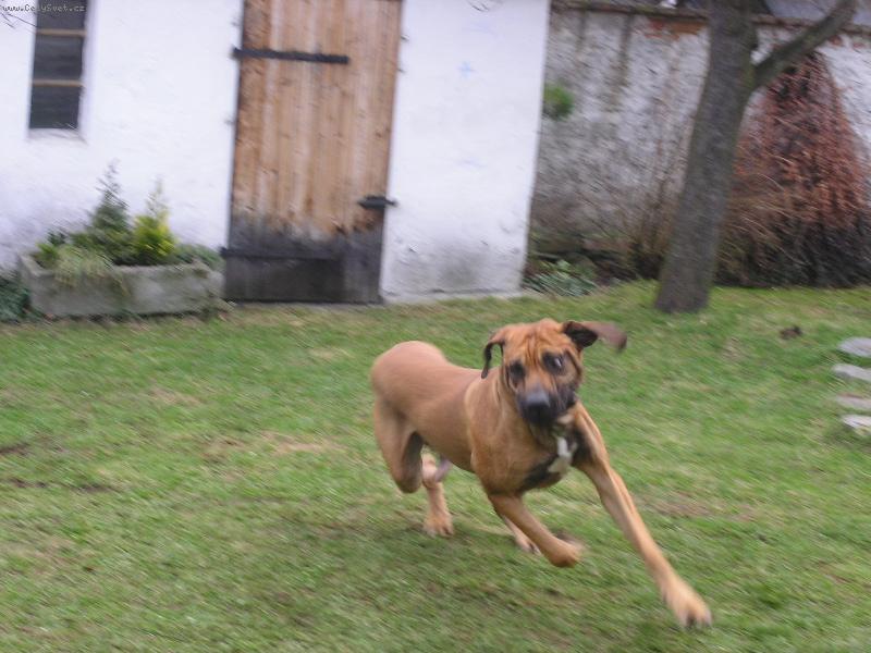 Foto: Jsem rychl� jako v�tr!