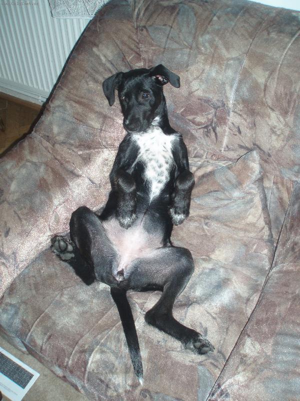 Foto: Ice Tea-Pohodi�ka....