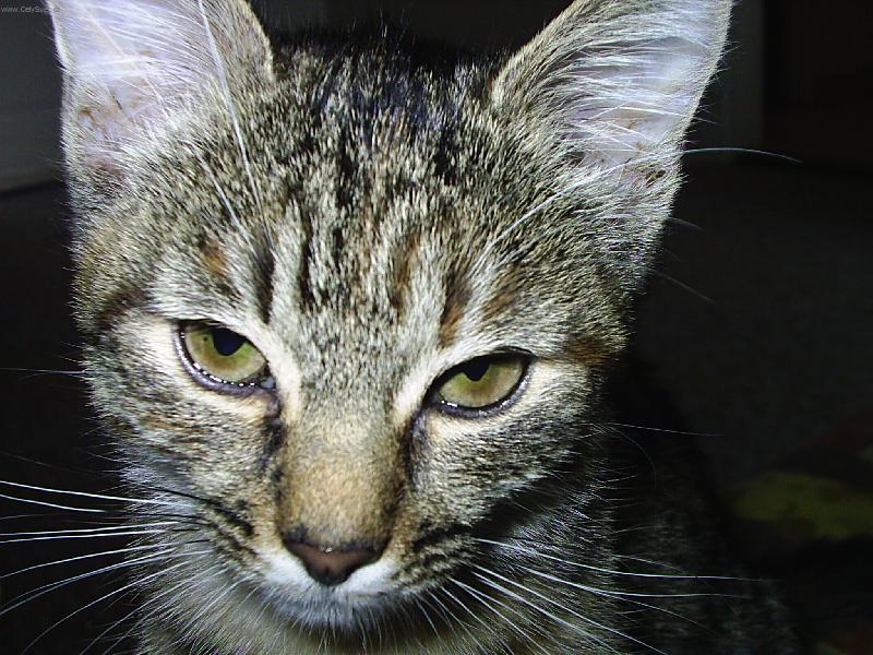 Foto: ...portr�t...