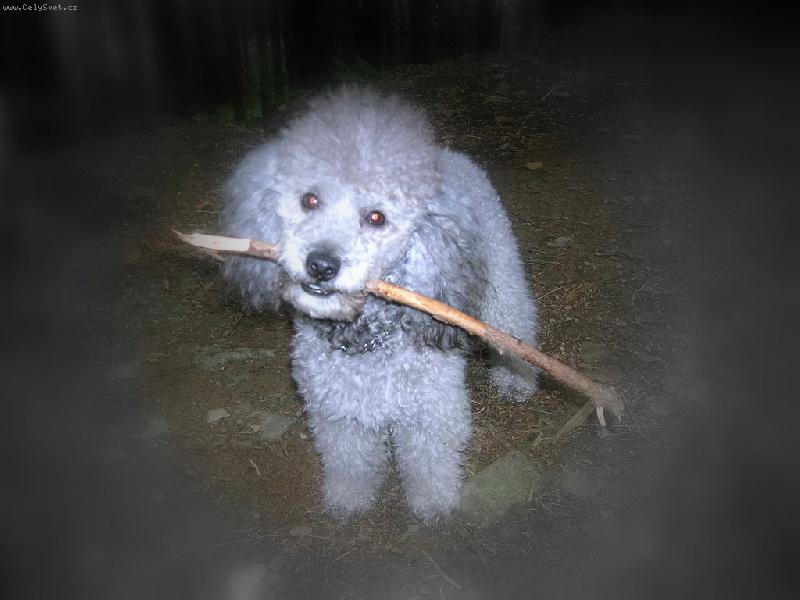 Foto: Sanny-Sanny aportuje:-)