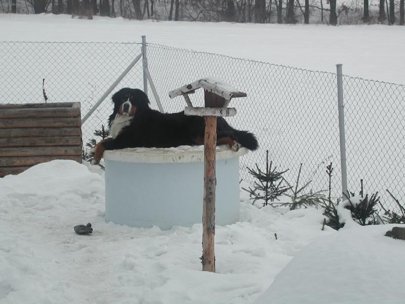 Foto: Ag�tka hl�d� dome�ek