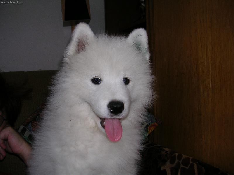 Foto: Enngi a jej� jaz��ek