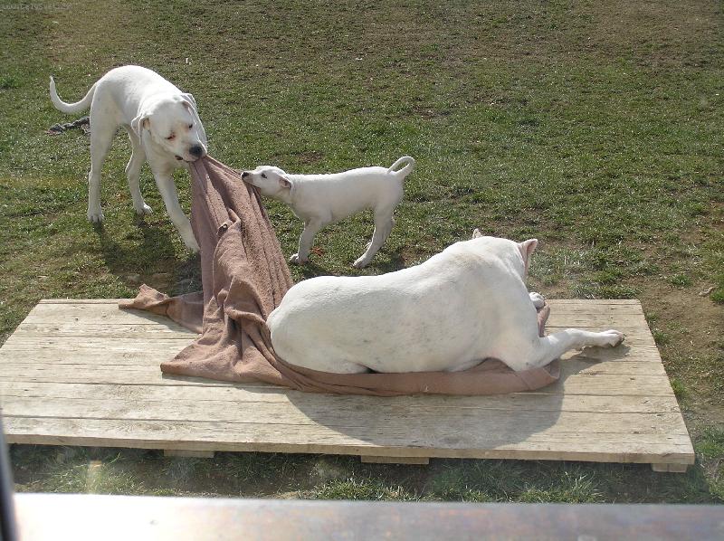 Foto: my t� ut�hnem