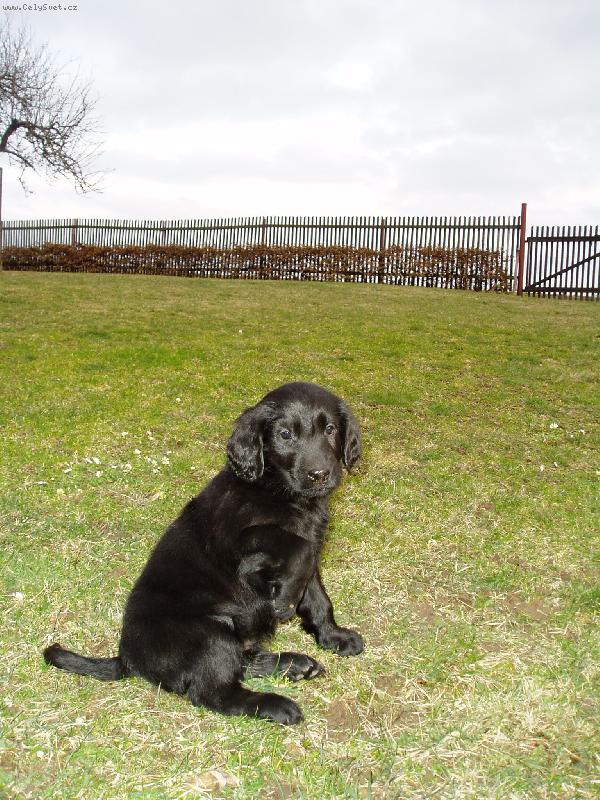 Foto: Ahoj, chci b�t Tv�j kamar�d.-Tak ruku na to.