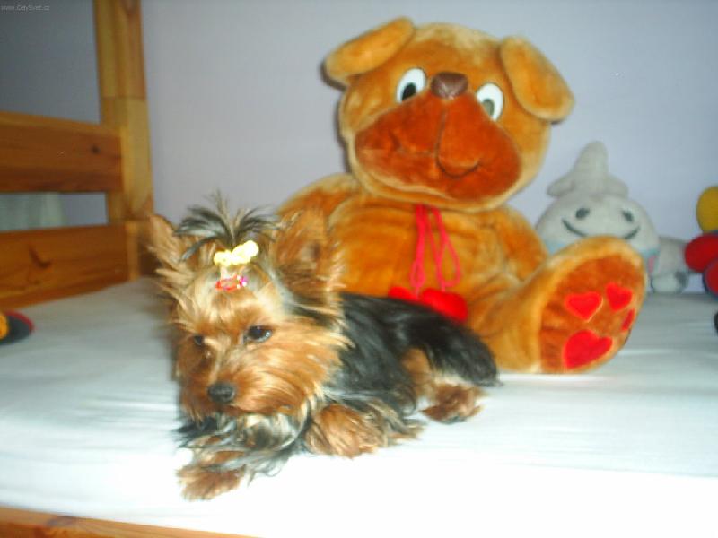 Foto: pohoda a klid doma-Zuzanka doma