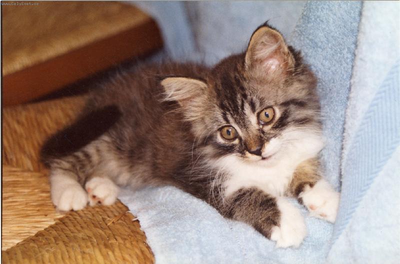 Foto: Roz�rka p�zuje