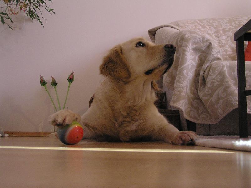 Foto: A te� ho chce� vr�tit ?