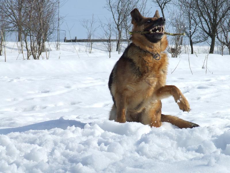Foto: aport-Aj takto sa zab�vam