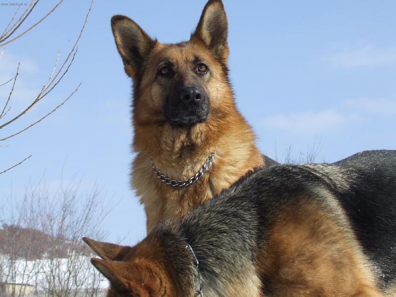 Foto: Poh�ad-�o to len vid�m