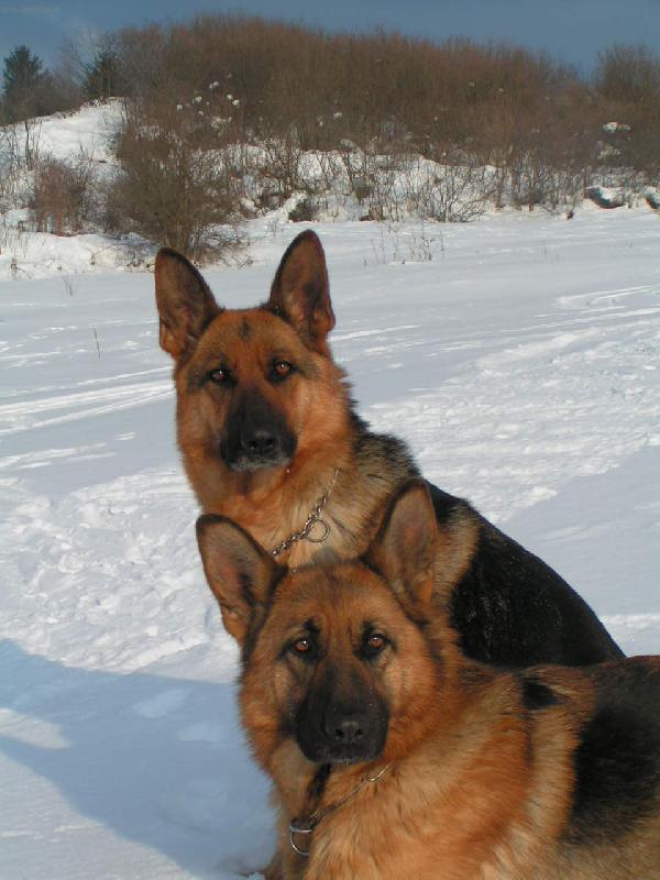 Foto: Modelky-na�e zimn� spomienky