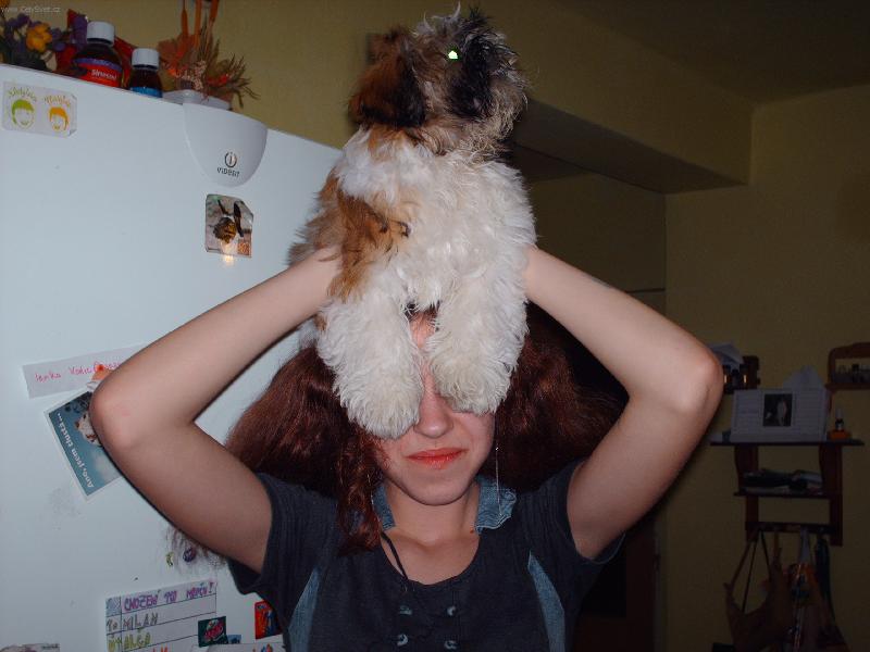 Foto: Rad�ji zakryju pani�ce o�i at nevid� co jsem zase rozkousala-Rad�ji se nekoukej