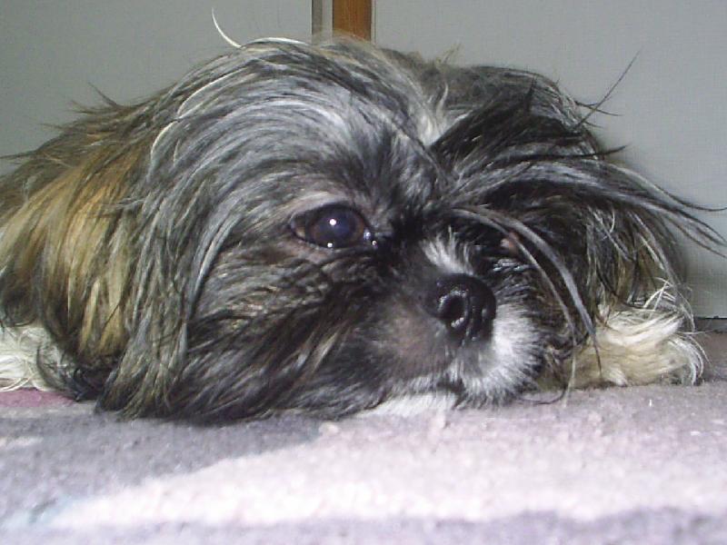 Foto: Terrynka-Zamy�len�..:-)