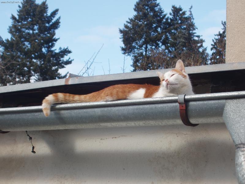 Foto: Sergej v okapu