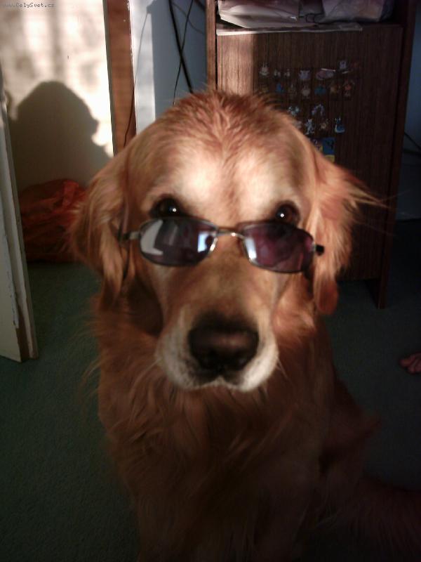 Foto: Caesarek-Cht�l b�t aspo� jednou za �ivot frajerem :-))