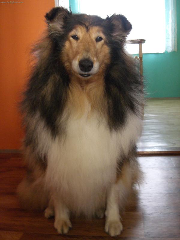 Foto: Beky-27.4.2006