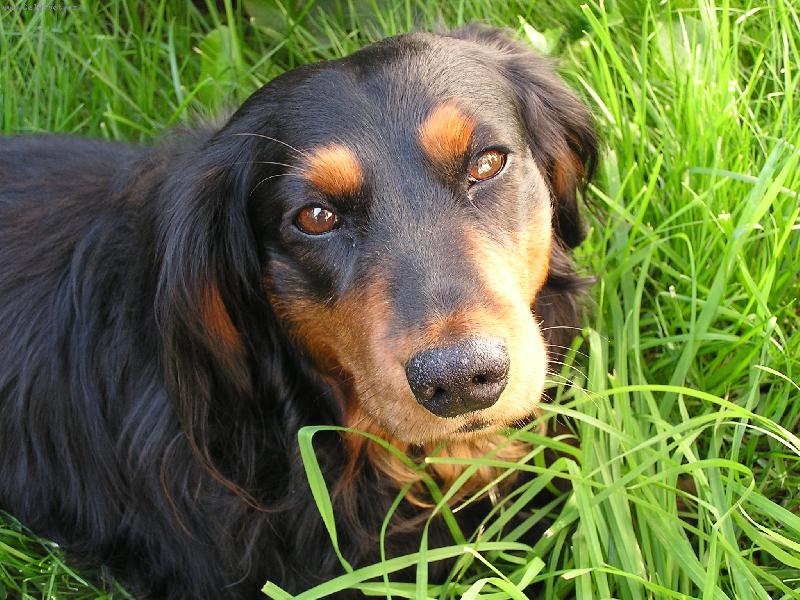 Foto: To je pohoda :-)