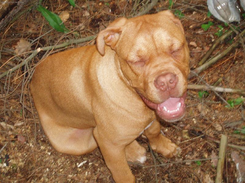 Foto: kr�sn� usm�v-Samira