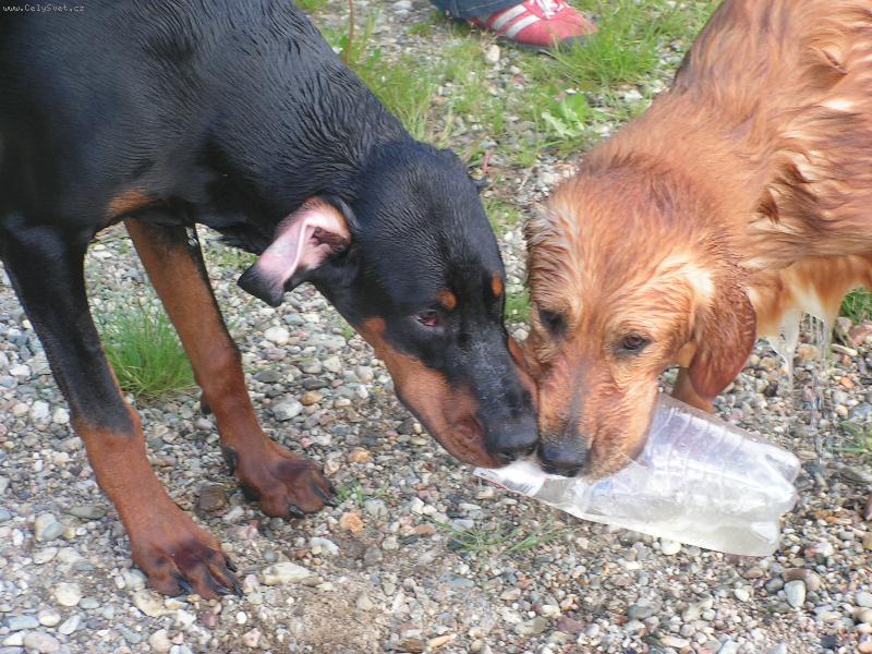 Foto: To je moje l�hev...