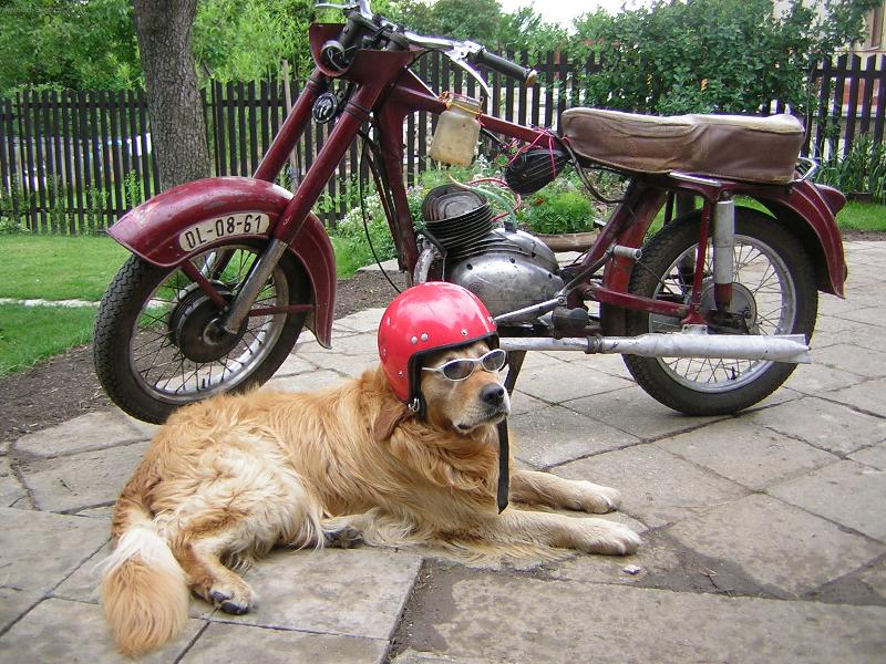 Foto: HARLEY-DAVIDSON