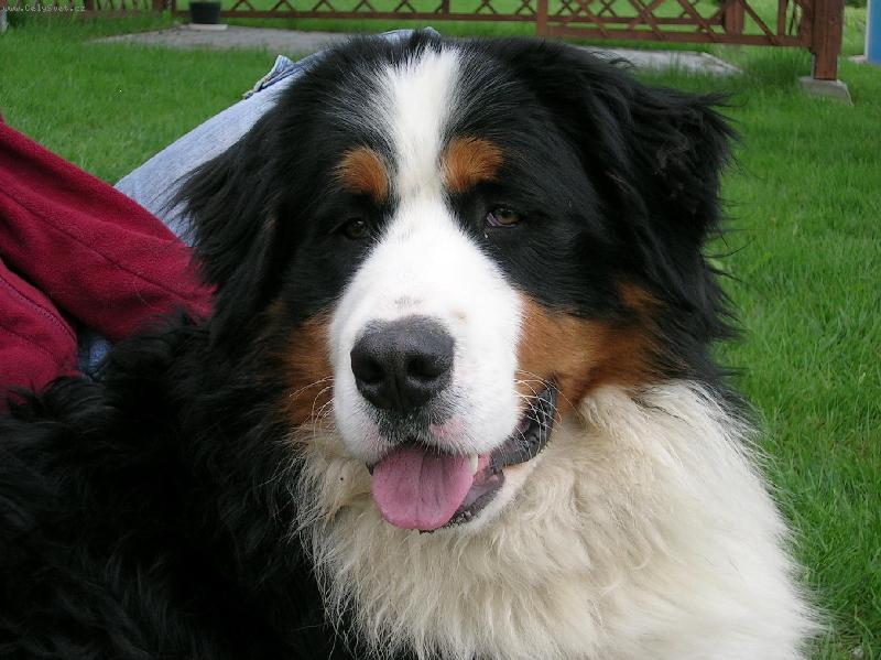 Foto: Sem p�knej??