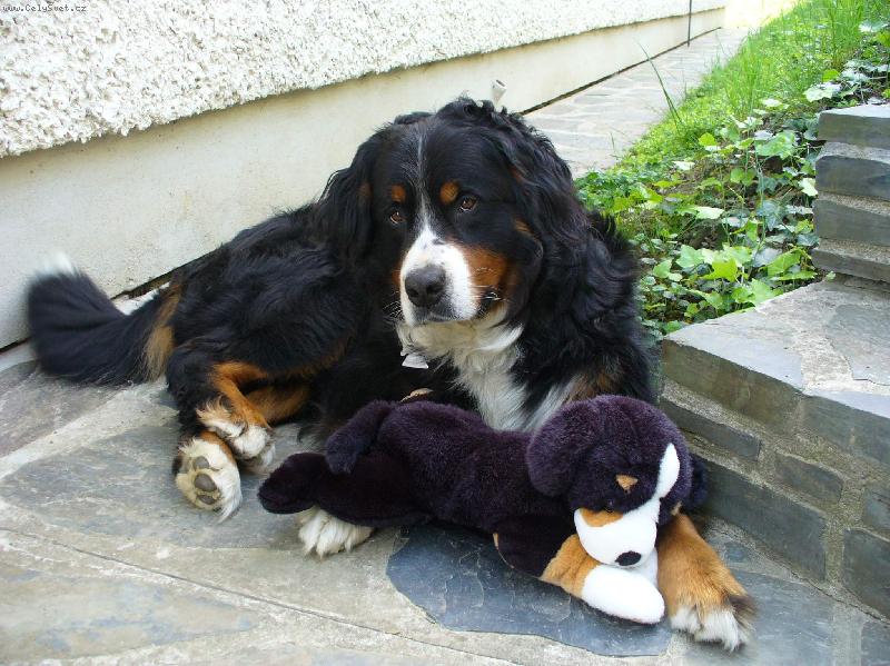 Foto: Bad a ply��k 1