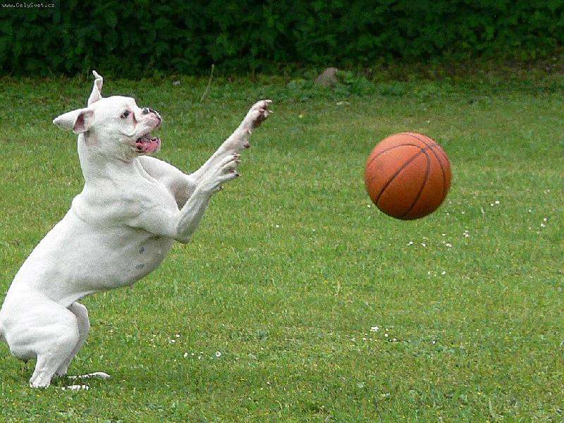 Foto: Maskovan�...