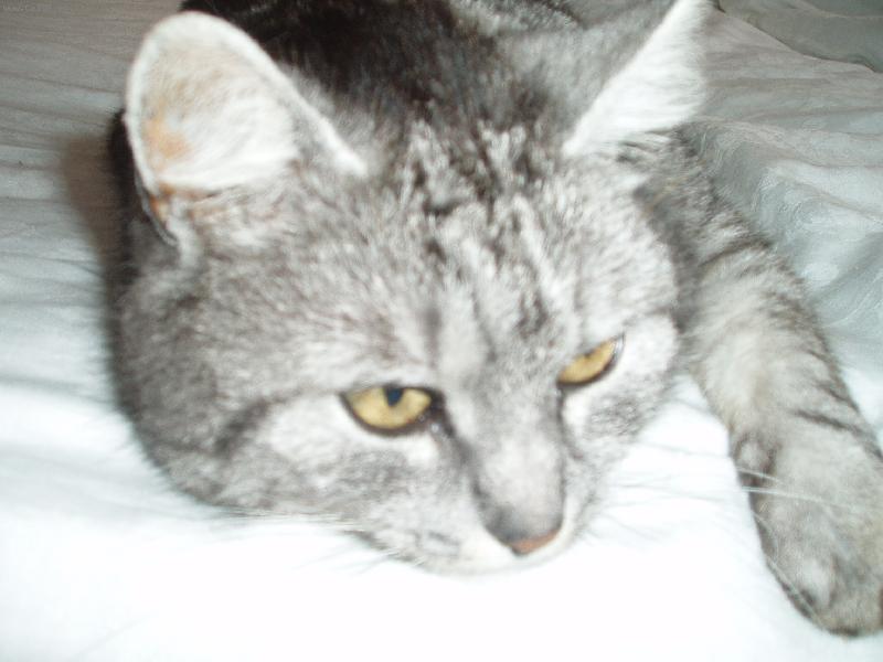 Foto: Moura-Relaxuji..