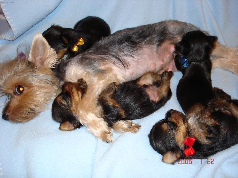 Foto: Tak nap�t a jde se do hajan...