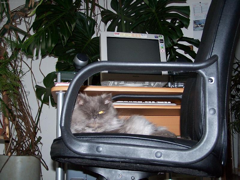 Foto: Kone�ne volno