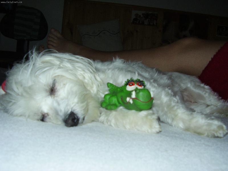 Foto: Bez sv� hra�ky neusnu....