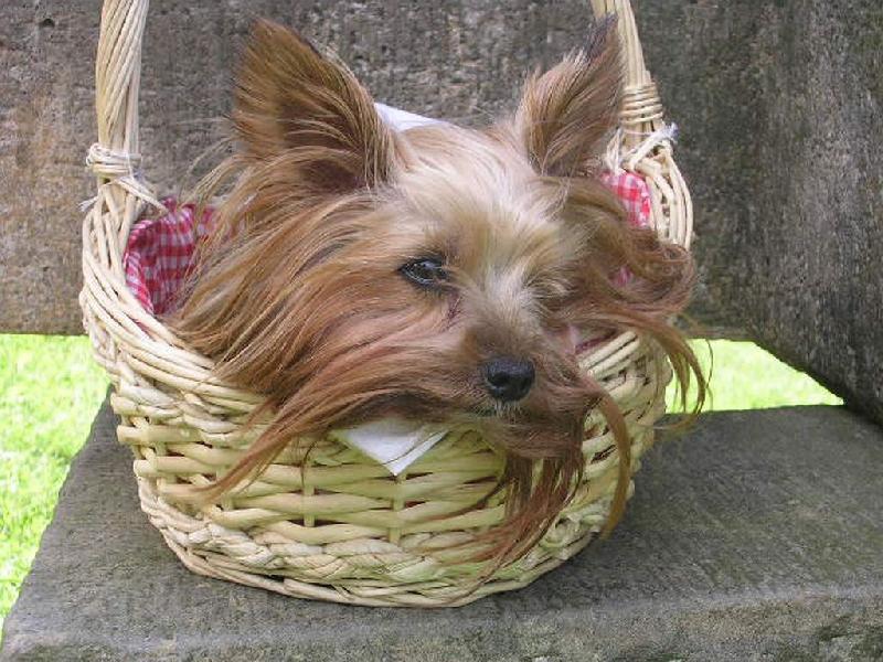 Foto: Bonny-Roztomil� Bonny ;)