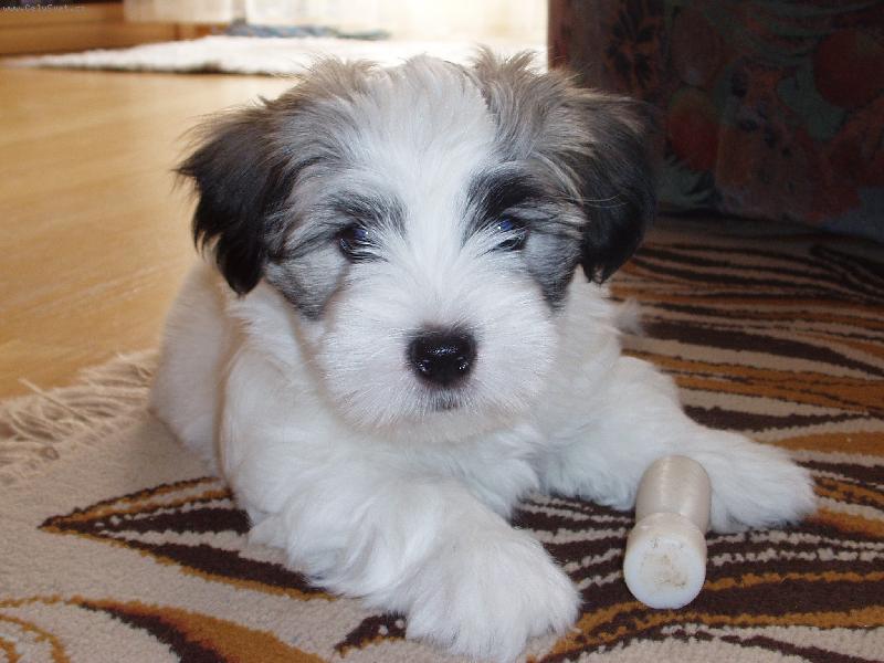 Foto: �t�n� cotonka-To mi byly dva m�s�ce...