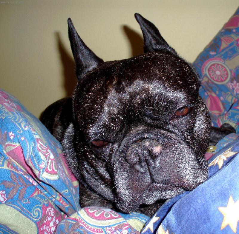 Foto: Nechte m� sp�t :-(