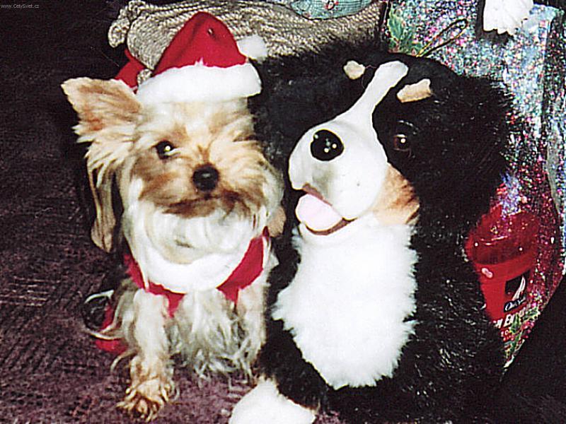 Foto: K�mo�i-Laky