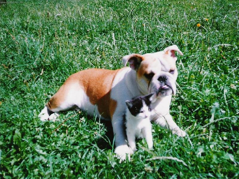 Foto: P�re�ek...neupad...-...ale co kdyby...