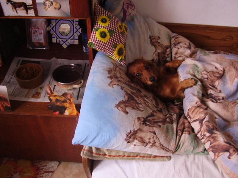 Foto: Alda-Ad�nek odpo��v�